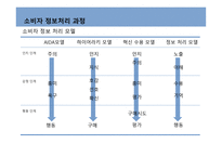 커뮤니케이션과정,기본모형 -12