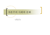 자본주의 사회와 문화 - 축구 -1
