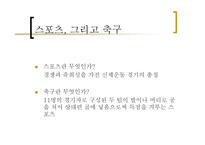 자본주의 사회와 문화 - 축구 -2