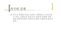 자본주의 사회와 문화 - 축구 -14