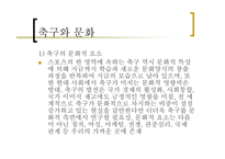 자본주의 사회와 문화 - 축구 -15