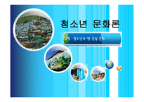 청소년과_팬 클럽문화 -1