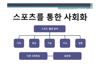 체육원리 (스포츠 사회학) - 운동선수의 스포츠 참여 -4