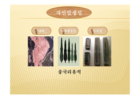 기원과발전 한국스포츠 -10