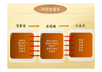 기원과발전 한국스포츠 -12
