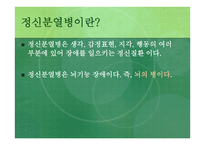 정신분열증 -2