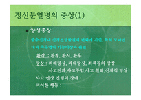 정신분열증 -13