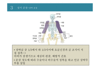 신체 부위별 골절의 치료와 간호 -5