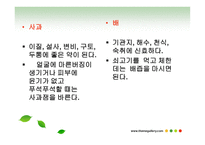과일야채 약용요법 -5