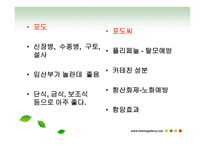 과일야채 약용요법 -6