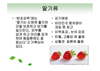 과일야채 약용요법 -7