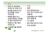 과일야채 약용요법 -10