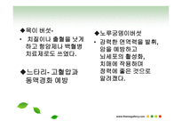 과일야채 약용요법 -13