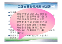 체육학적 신체관의 변 천 과 정 -7