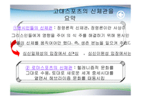 체육학적 신체관의 변 천 과 정 -13