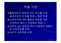 국소마취제 -11
