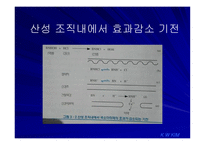 국소마취제 -14