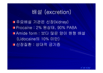 국소마취제 -20