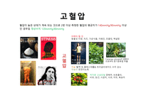 대체의학에 대해서   -6
