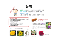 대체의학에 대해서   -8