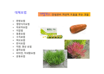 대체의학에 대해서   -14