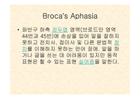 뇌와 언어 - 언어 장애 -6