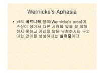 뇌와 언어 - 언어 장애 -8