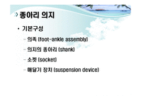 하지의지의 분류 -4