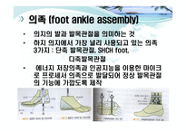 하지의지의 분류 -5