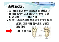하지의지의 분류 -7