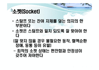 하지의지의 분류 -16