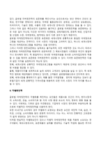 글로벌 마케팅전략의 표준화와 차별화(글로벌기업의 마케팅 전략 중 표준화전략과 차별화전략)-2