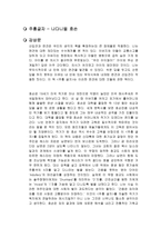 주홍글자 독후감1-1