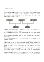 국제경영의 계획관리(경영계획)-2