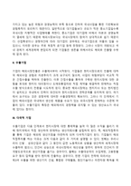 기업의 국제화 과정(기업의 글로벌화 단계)-3