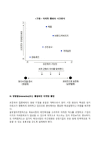 글로벌 마케팅 계획-3