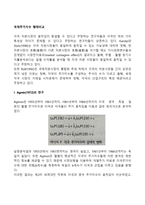 국제주가지수 행태비교-2