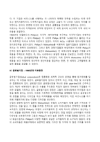 글로벌기업의 발전단계(역사, 등장배경)-4