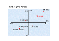 웅진 - 룰루비데의 4P 분석 -9