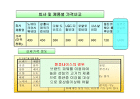 웅진 - 룰루비데의 4P 분석 -10