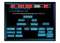 백화점 CRM - 사례분석을 중심으로 - -17