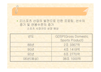 스포츠 에이젼트 - 스포츠 마케팅 -16