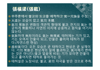 신 유 학 - 유교란 -14
