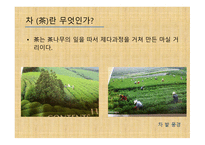 차와 함께 하는 건강한 삶 - 차의 종류와 끓이기 -2
