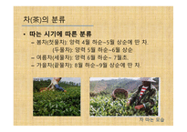 차와 함께 하는 건강한 삶 - 차의 종류와 끓이기 -5