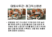 웨이트 트레이닝 초보자를 위한 기초 프로그램 -4