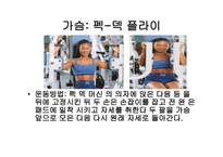 웨이트 트레이닝 초보자를 위한 기초 프로그램 -7