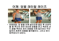 웨이트 트레이닝 초보자를 위한 기초 프로그램 -8