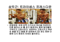 웨이트 트레이닝 초보자를 위한 기초 프로그램 -9
