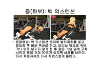 웨이트 트레이닝 초보자를 위한 기초 프로그램 -11
